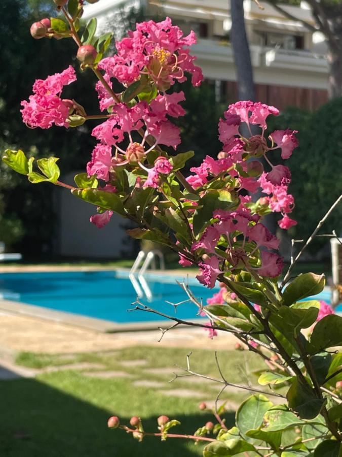 Buba Bnb Superior Anzio Esterno foto